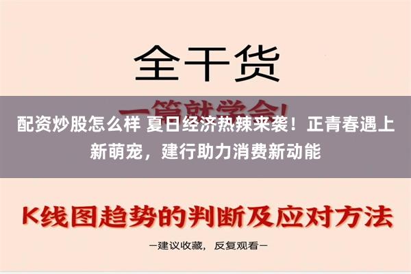 配资炒股怎么样 夏日经济热辣来袭！正青春遇上新萌宠，建行助力消费新动能