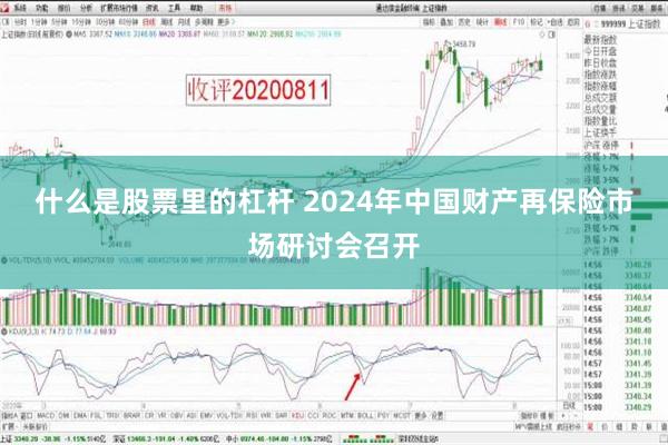 什么是股票里的杠杆 2024年中国财产再保险市场研讨会召开