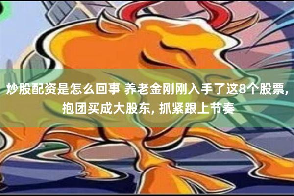 炒股配资是怎么回事 养老金刚刚入手了这8个股票, 抱团买成大股东, 抓紧跟上节奏