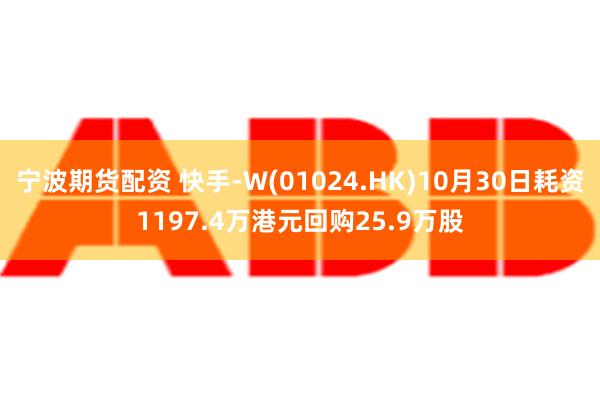 宁波期货配资 快手-W(01024.HK)10月30日耗资1197.4万港元回购25.9万股