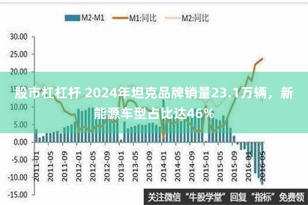 股市杠杠杆 2024年坦克品牌销量23.1万辆，新能源车型占比达46%