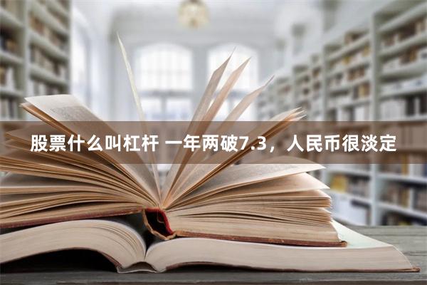 股票什么叫杠杆 一年两破7.3，人民币很淡定