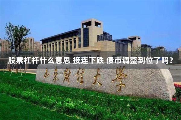 股票杠杆什么意思 接连下跌 债市调整到位了吗？